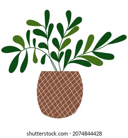 House plant design. Vector illustration.