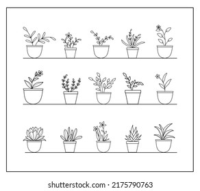 House plant doodle illustration line art