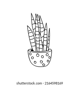 House plant doodle illustration in vector. House plant hand drawn illustration. Pot plant doodle illustration