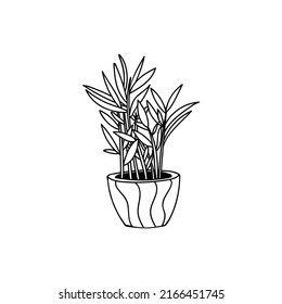 Ilustración del doodle de la planta de la casa en vector. Ilustración de la planta de la casa dibujada a mano. Ilustración del doodle de la planta de pota