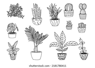 House plant doodle illustrations collection in vector. Home plants hand drawn illustrations in vector. Pot plant doodle illustrations collection.