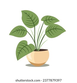House plant flat icon vector illustration, isolated on white background, cartoon potted plants