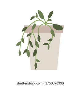 House plant in flower pot. Home gardening. Hand drawn vector illustration in flat cartoon style. Perfect for poster, sticker, print, card