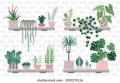 House plant flower shop banner. Potted succulents, indoor flowers and cacti on home shelf interior. Home garden with decorative houseplants on brick wall.