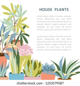 House plant frame