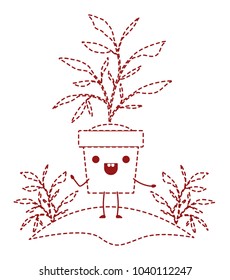 house plant in garden