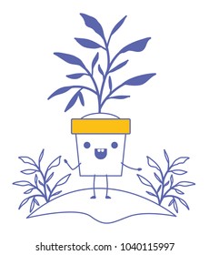 house plant in garden