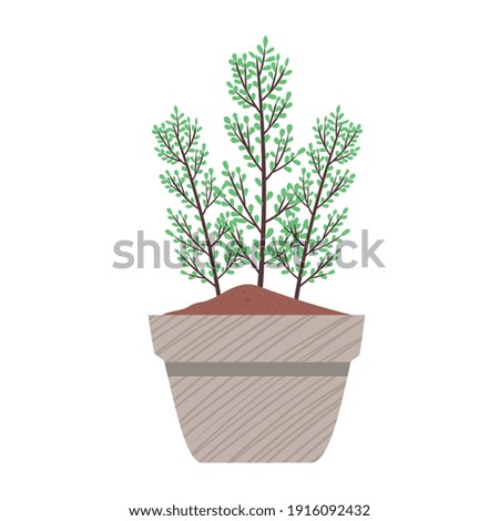 house plant in gray ceramic pot nature spring season icon vector illustration design