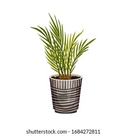 House Plant Growing in Pot Isolated on White Background Vector Illustration