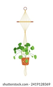 House plant in hanging macrame pot. Home green garden. Vector illustration of tropical flowers in hanger. Cute beautiful handmade home or office decoration.