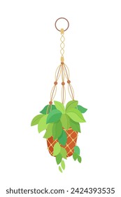 House plant in hanging macrame pot. Home green garden. Vector illustration of tropical flowers in hanger. Cute beautiful handmade home or office decoration.