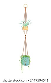 House plant in hanging macrame pot. Home green garden. Vector illustration of tropical flowers in hanger. Cute beautiful handmade home or office decoration.