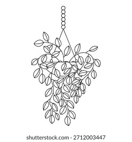 House plant in hanging macrame pot vector sketch