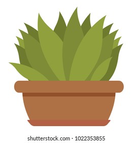 House plant icon. Flat illustration of house plant vector icon for web