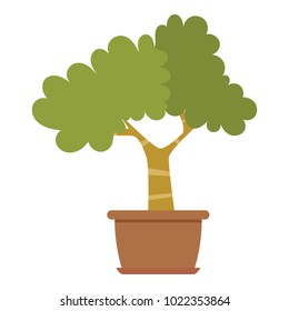 House plant icon. Flat illustration of house plant vector icon for web