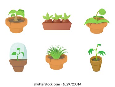 House plant icon set. Cartoon set of house plant vector icons for web design isolated on white background