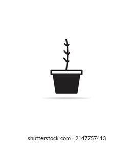house plant icon vector illustration