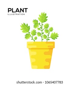 House plant icon vector. House plant sign on white background. House plant icon for web and app