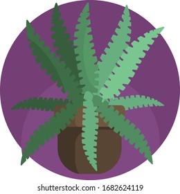 House plant icons vector format. Flower plant nature.
