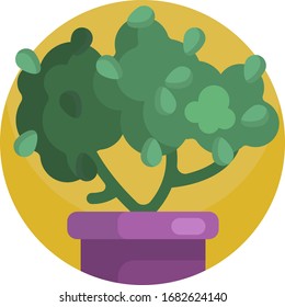Formato vectorial de iconos de plantas de la casa. Naturaleza vegetal de las flores.