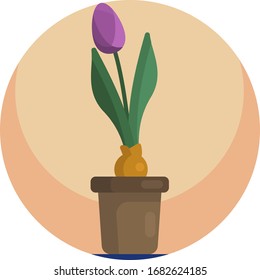 House plant icons vector format. Flower plant nature.