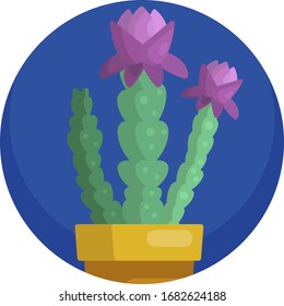 Formato vectorial de iconos de plantas de la casa. Naturaleza vegetal de las flores.