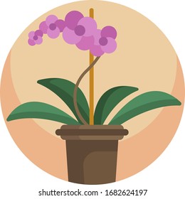 Formato vectorial de iconos de plantas de la casa. Naturaleza vegetal de las flores.
