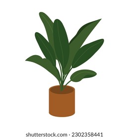 House Plant Illustration. Home Plant Decoration Element. Illustration Of Indoor Plant In The Pot.