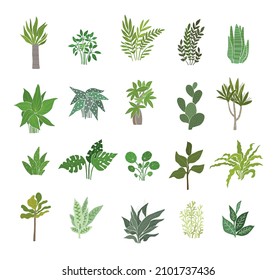 House plant illustrations set, isolated on white background. Simple and cute vector graphic. Urban jungle illustration. For home decor. Tropical beautiful flowers collection.Decoration elements.