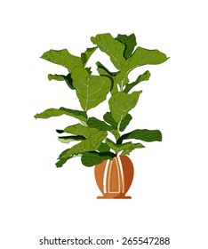 House plant isolated with green long leaves in two different colors and a round terracotta pot decorated with stripes isolated on white background. 