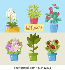 House Plant isolated.  Six different pot flowers Icon.