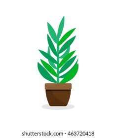 House Plant - Isolated vector Icon. Green indoor plant in pot - flat illustration on white background.