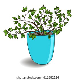 House plant isolated. Vector sketch 
