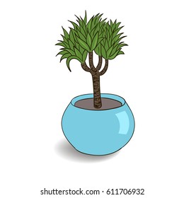 House plant isolated. Vector sketch 
