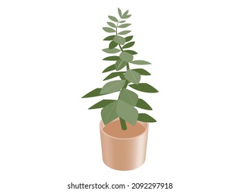 House plant isometric illustration. Home decoration. 3D rendering. Green plant with leaves in a brown pot.