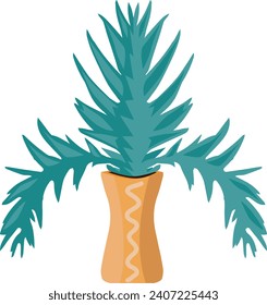 House plant with large leaves. Vector illustration.