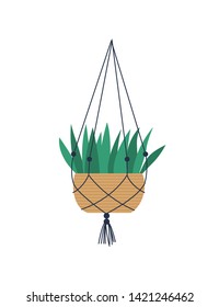 House plant with long leaves vector, isolated houseplant flat style. Hanging pot held by threads, flora placed in vase, natural decoration for home decor