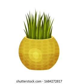 House Plant with Long Straight Pointed Leaves Growing in Pot Vector Illustration