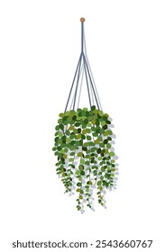 Planta de casa en macrame colgante. Planta de casa verde sobre fondo de pared blanca. Decoración ecológica para el hogar. Ilustración vectorial de stock.