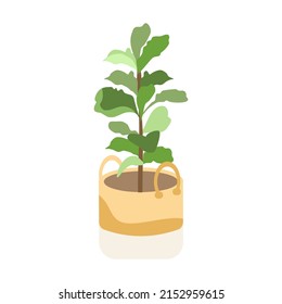 House plant on pottery vector design.