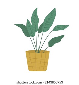 House plant in planter. Potted plant in flat style. Vector illustration isolated on white background