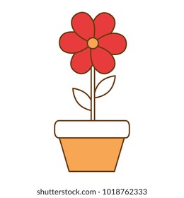 house plant in pot