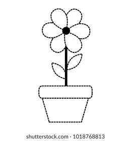 house plant in pot