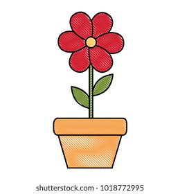 house plant in pot