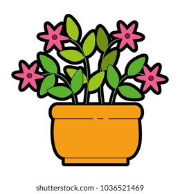 house plant in pot