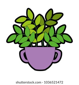 house plant in pot