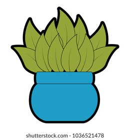 house plant in pot