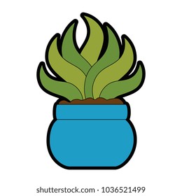 house plant in pot