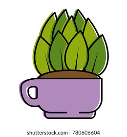 house plant in pot