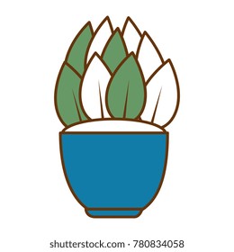 house plant in pot